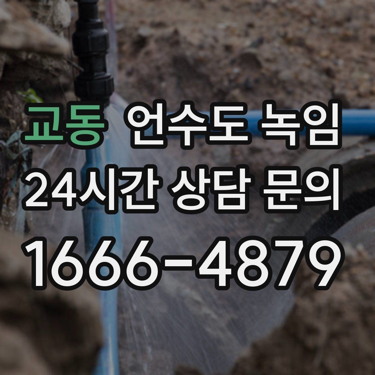 교동 언수도 녹임 셀프로 하다가 더 큰 비용이 생기는 이유