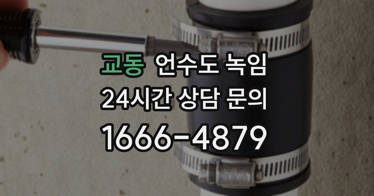 교동 언수도 녹임