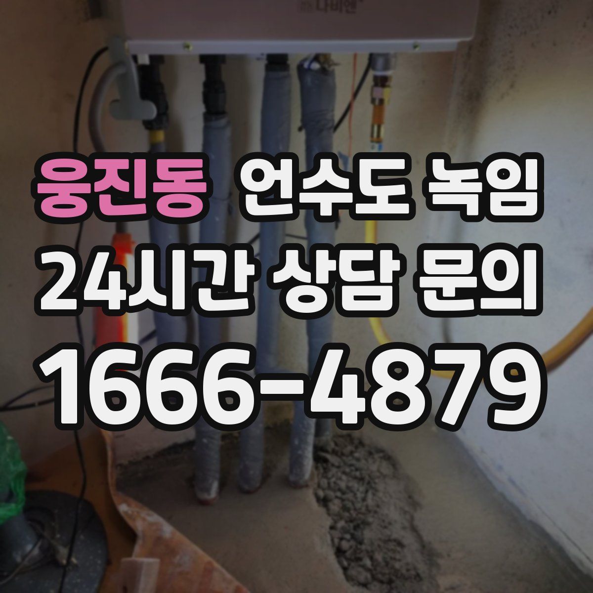 웅진동 언수도 녹임