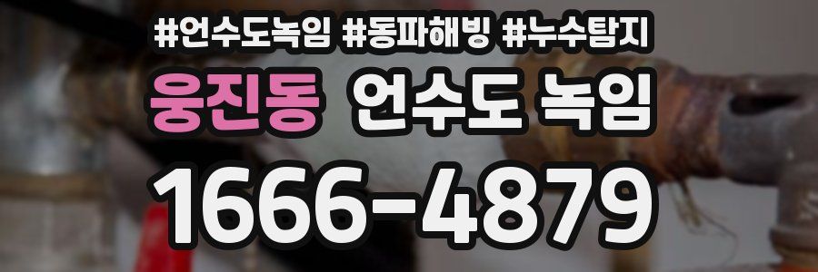 웅진동 언수도 녹임