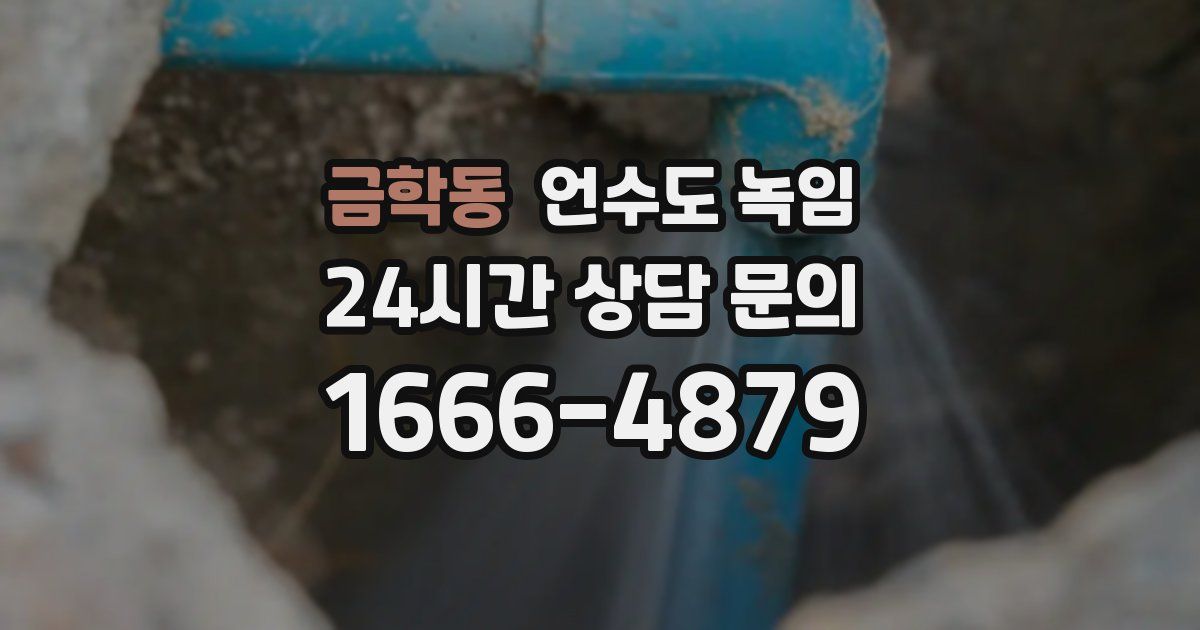 금학동 언수도 녹임
