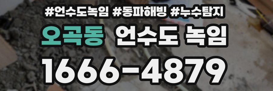 오곡동 언수도 녹임