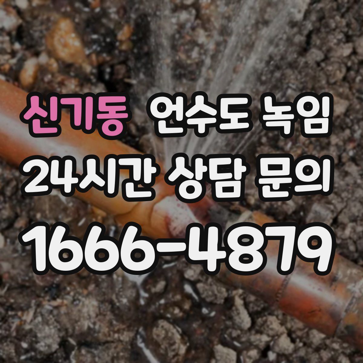 신기동 언수도 녹임