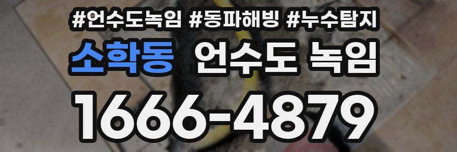 소학동 언수도 녹임