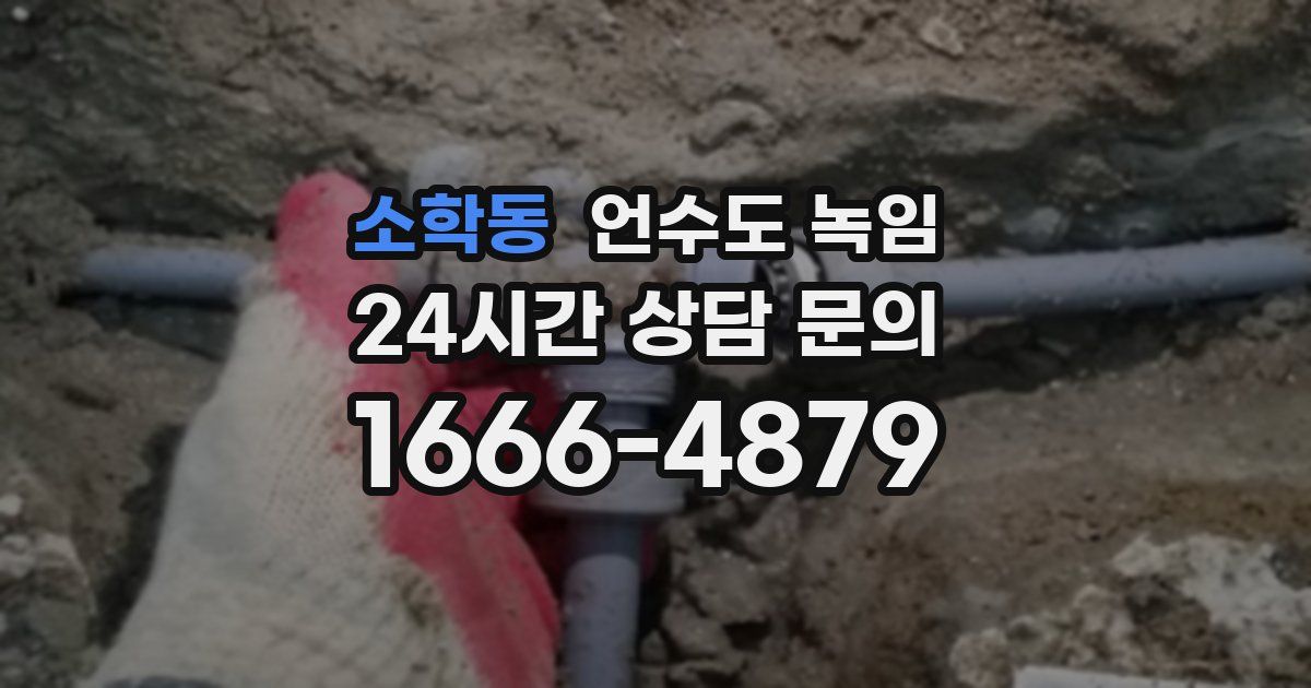 소학동 언수도 녹임