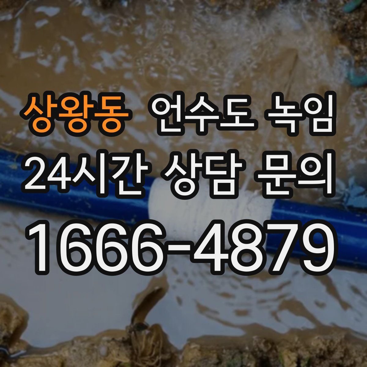 상왕동 언수도 녹임