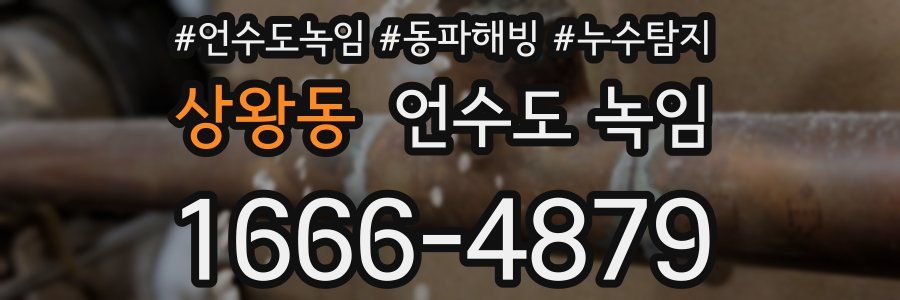 상왕동 언수도 녹임