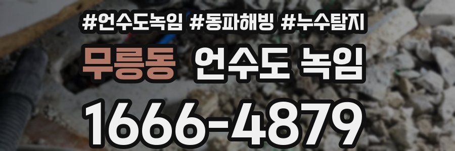 무릉동 언수도 녹임