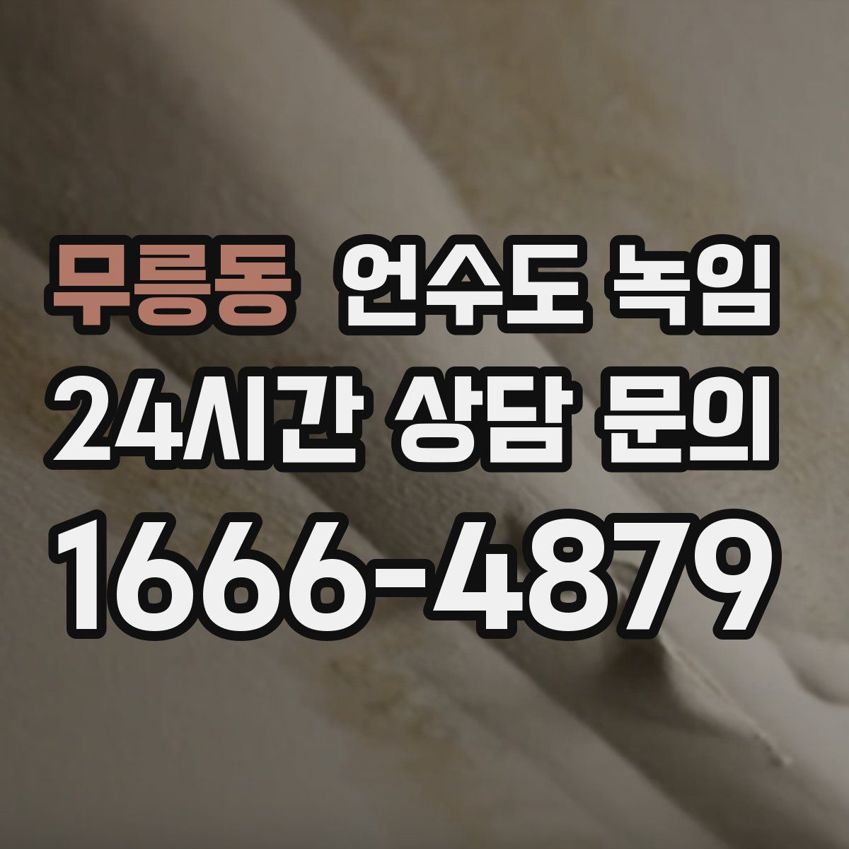 무릉동 언수도 녹임