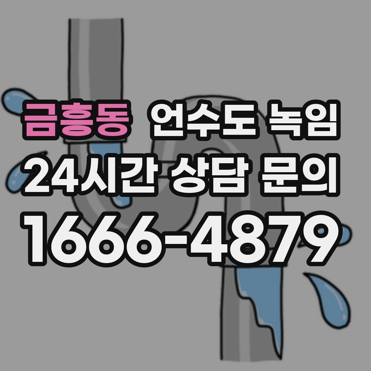 금흥동 언수도 녹임