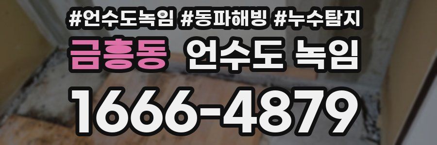 금흥동 언수도 녹임