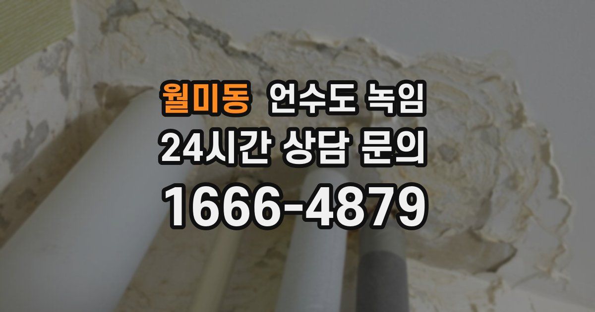 월미동 언수도 녹임