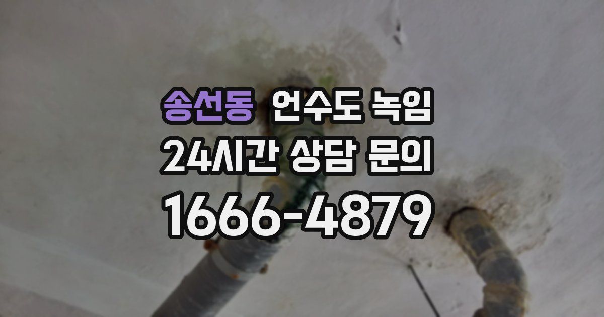 송선동 언수도 녹임