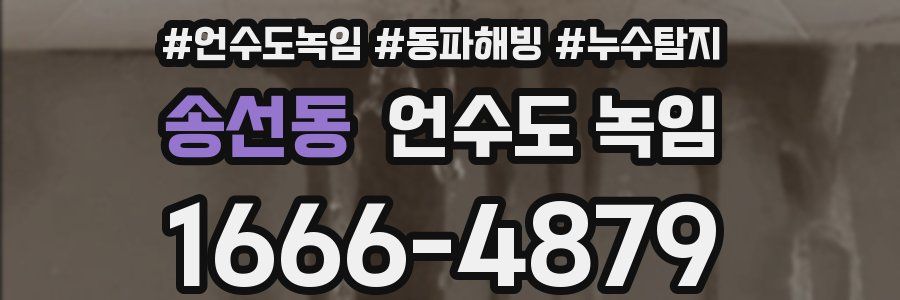 송선동 언수도 녹임