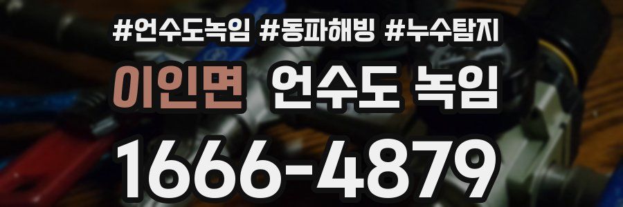 이인면 언수도 녹임