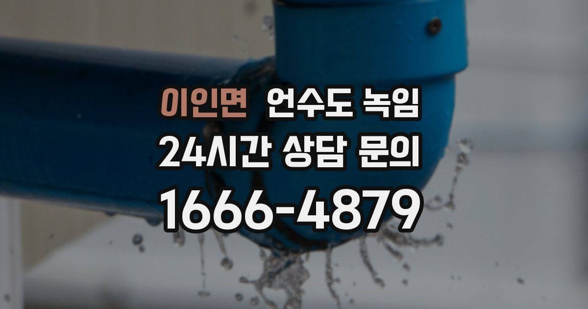 이인면 언수도 녹임