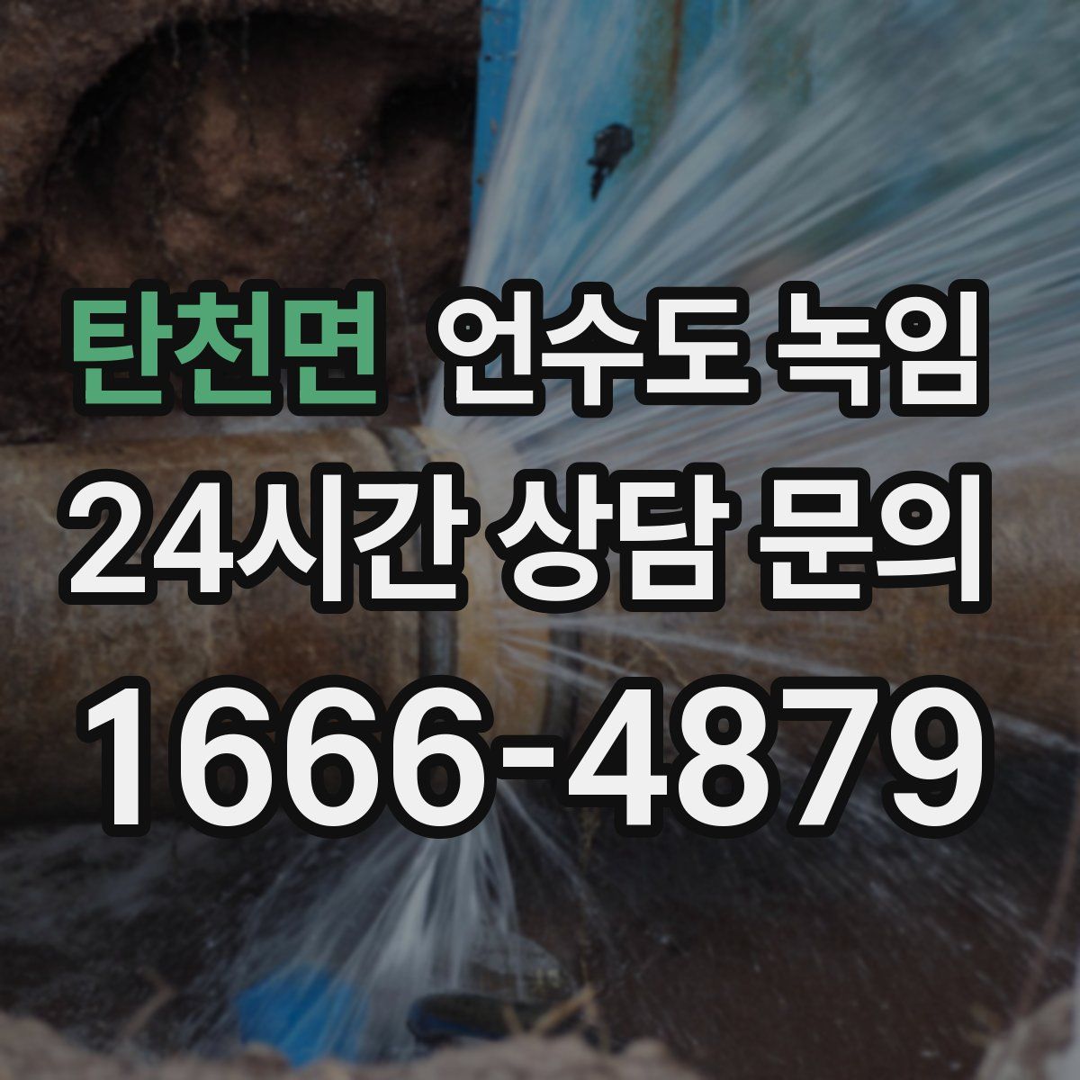 탄천면 언수도 녹임