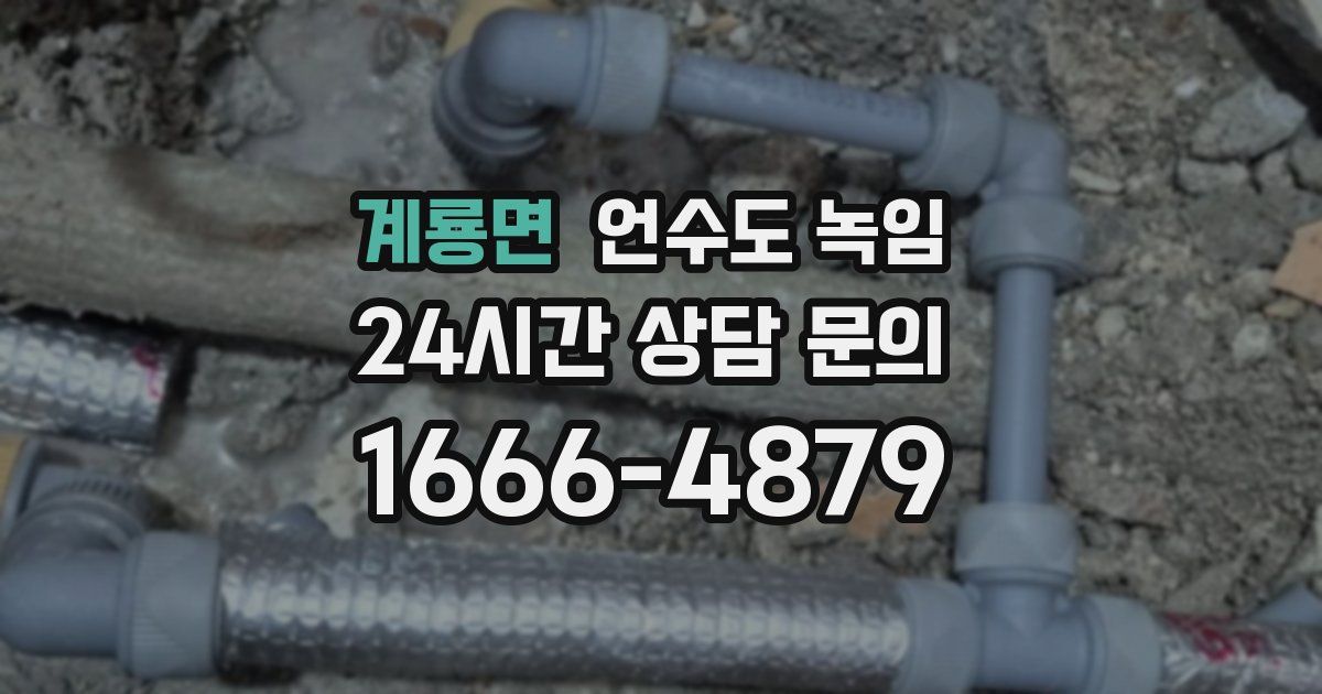 계룡면 언수도 녹임