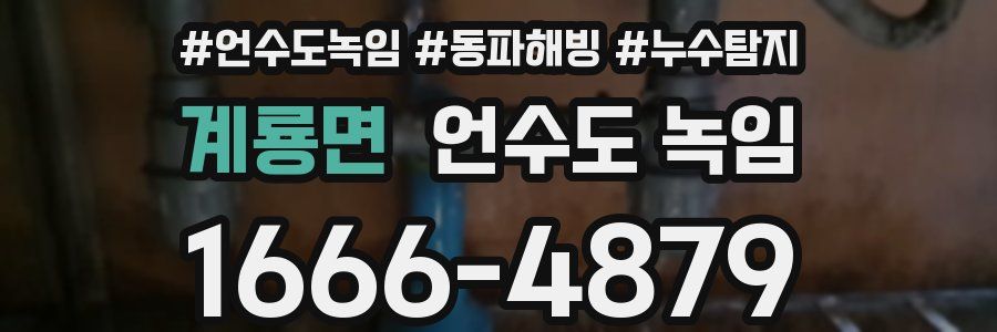 계룡면 언수도 녹임