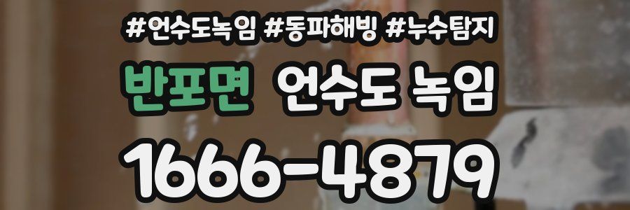 반포면 언수도 녹임