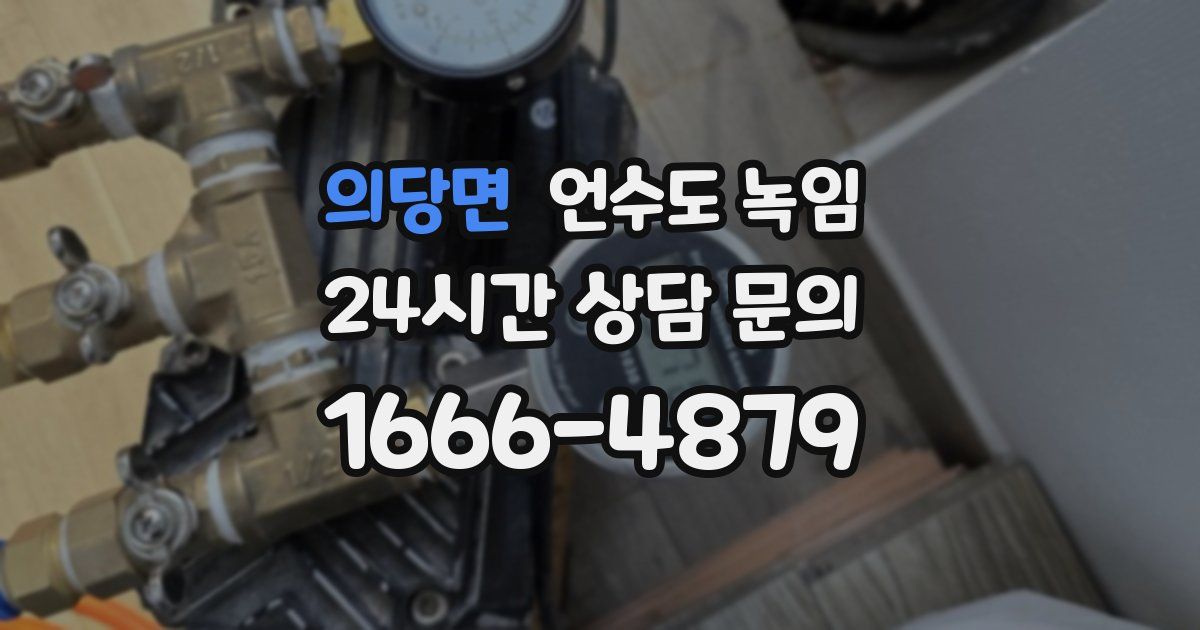 의당면 언수도 녹임
