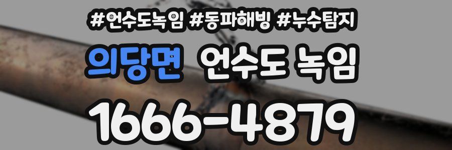 의당면 언수도 녹임