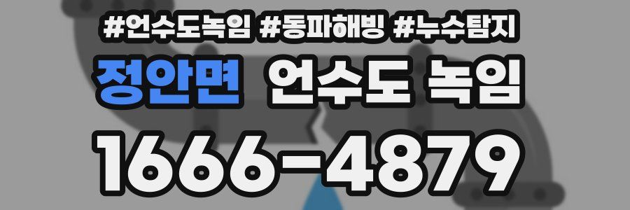 정안면 언수도 녹임