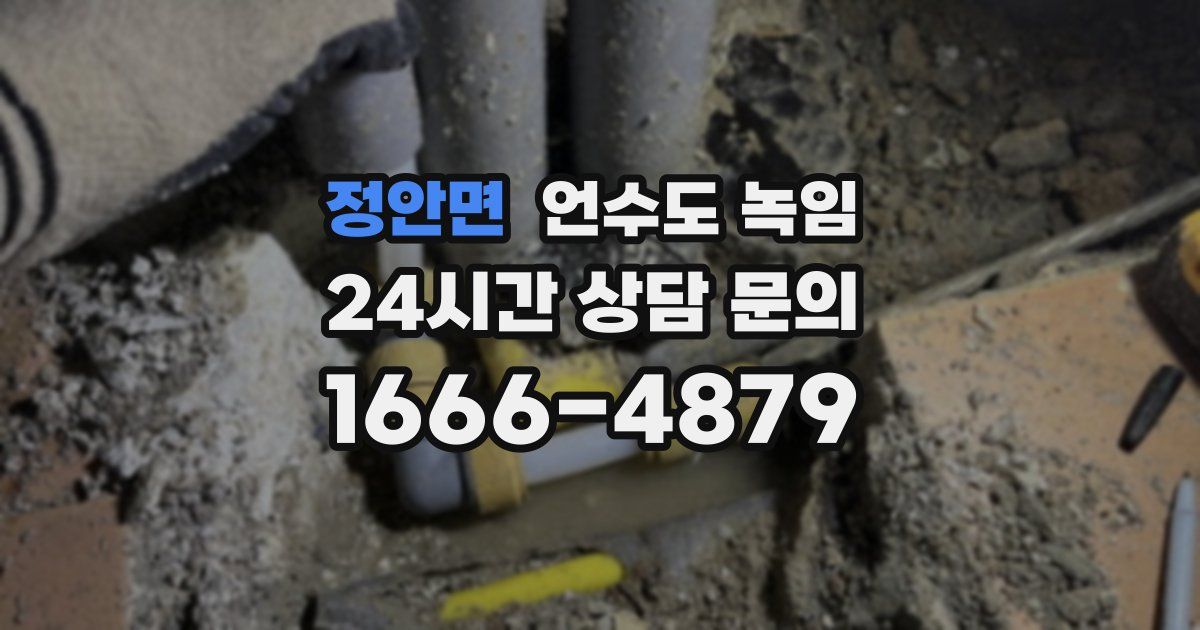 정안면 언수도 녹임