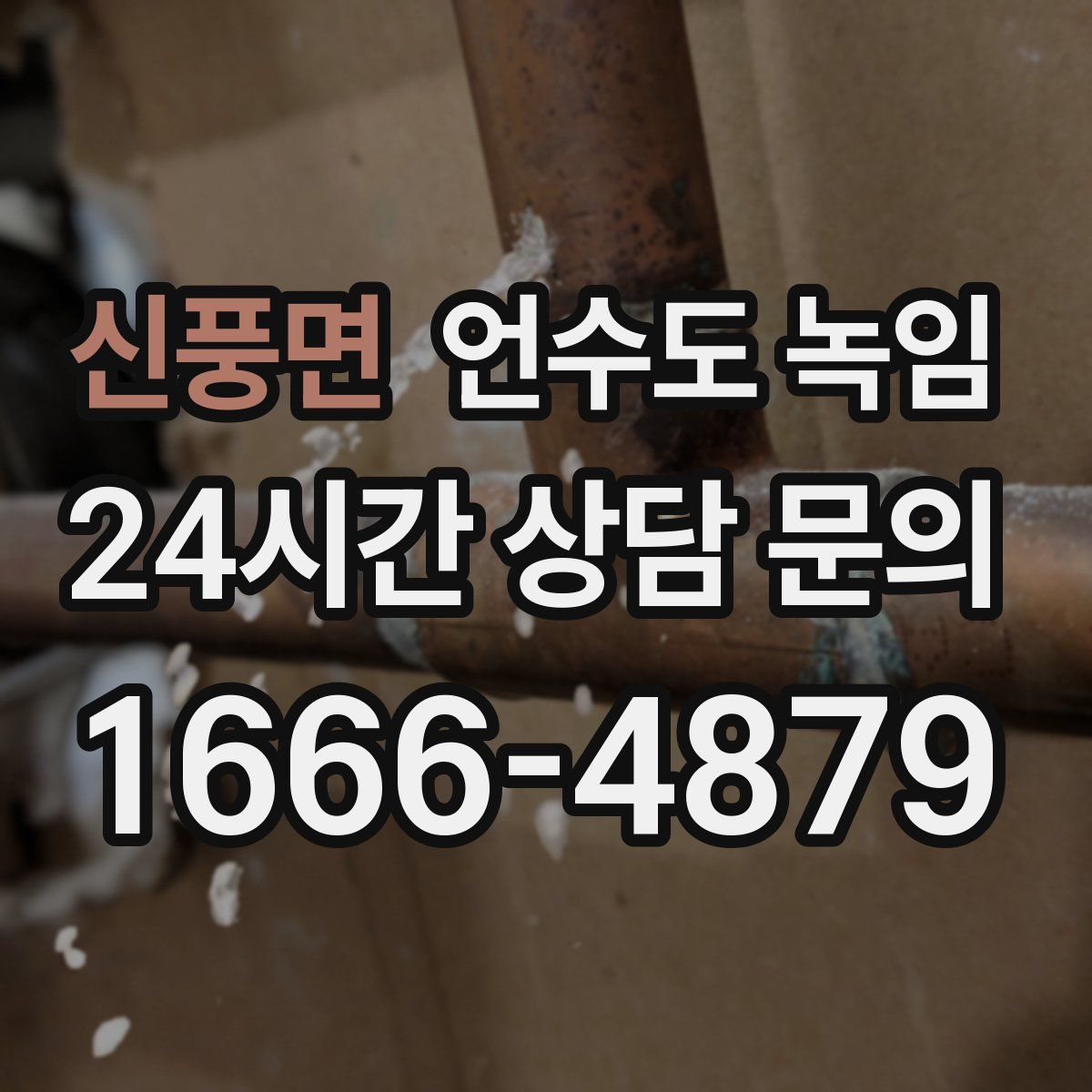 신풍면 언수도 녹임