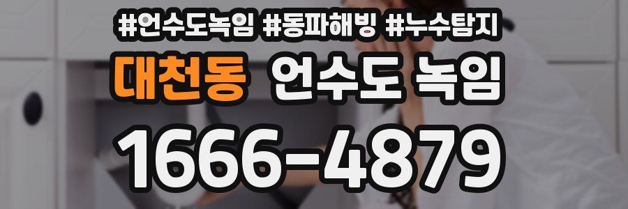 대천동 언수도 녹임