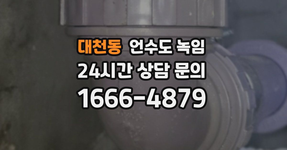 대천동 언수도 녹임