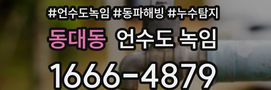 동대동 언수도 녹임