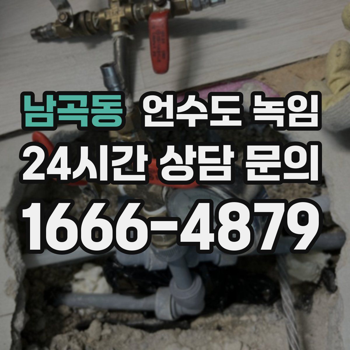 남곡동 언수도 녹임