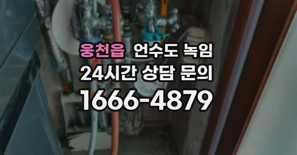 웅천읍 언수도 녹임