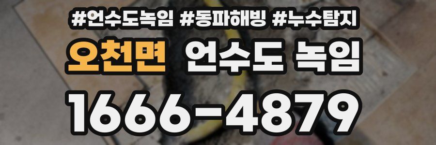 오천면 언수도 녹임