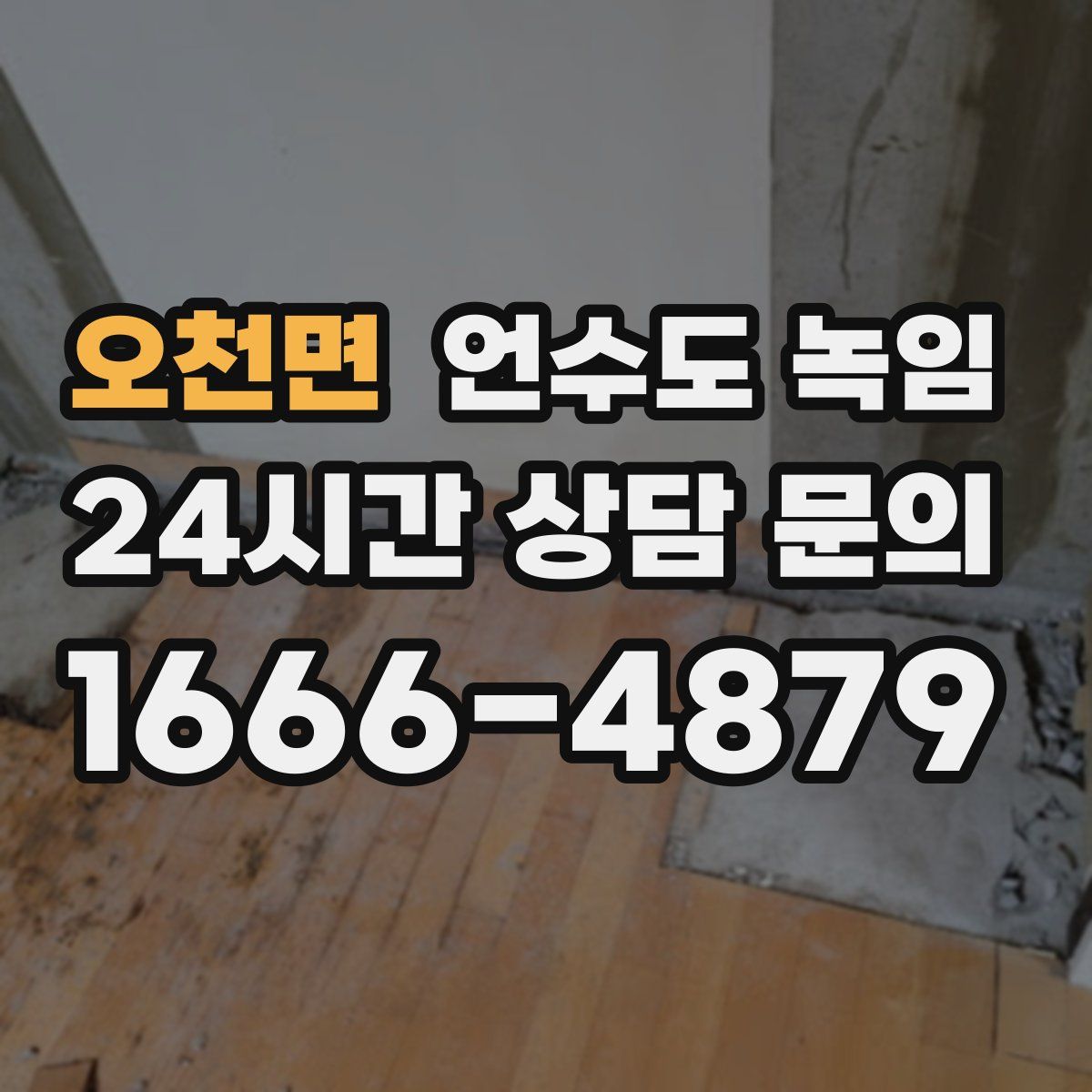 오천면 언수도 녹임