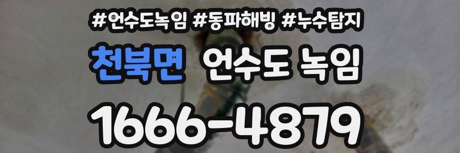 천북면 언수도 녹임