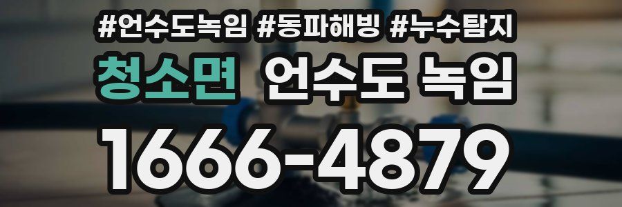 청소면 언수도 녹임