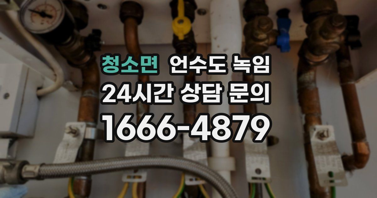 청소면 언수도 녹임