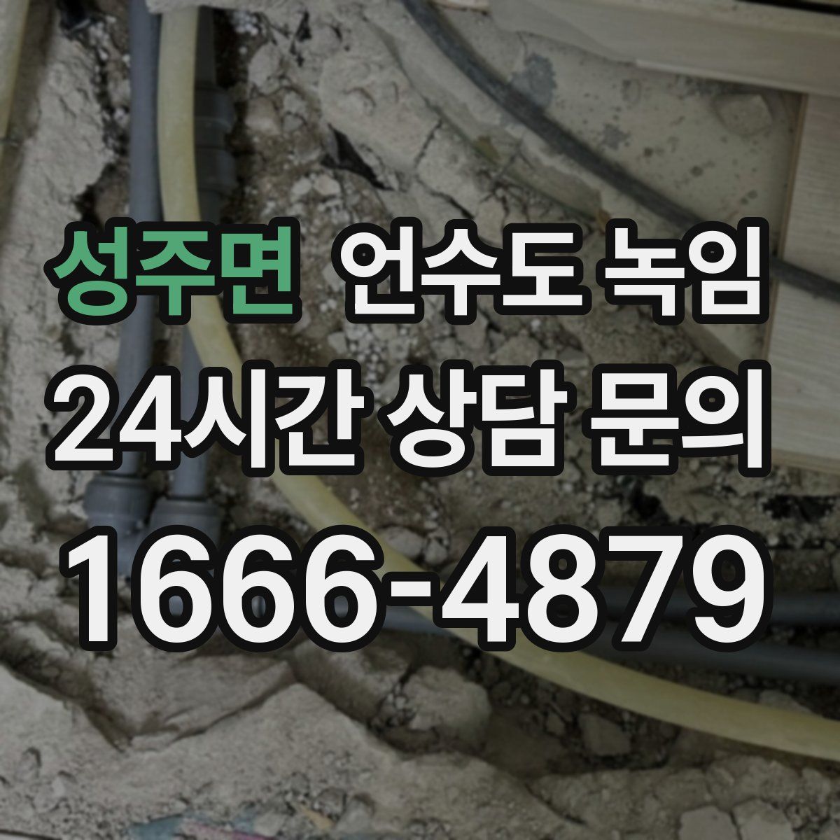 성주면 언수도 녹임