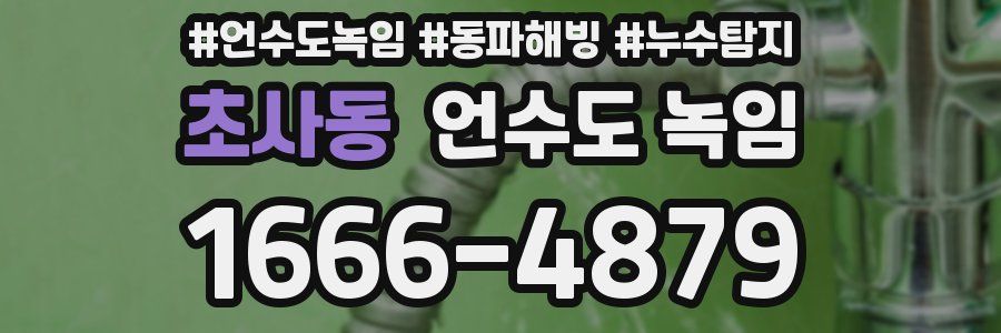 초사동 언수도 녹임