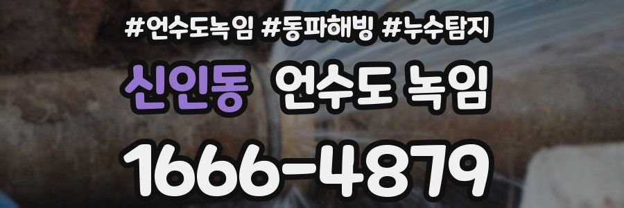 신인동 언수도 녹임