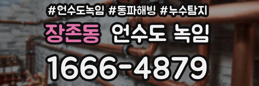 장존동 언수도 녹임