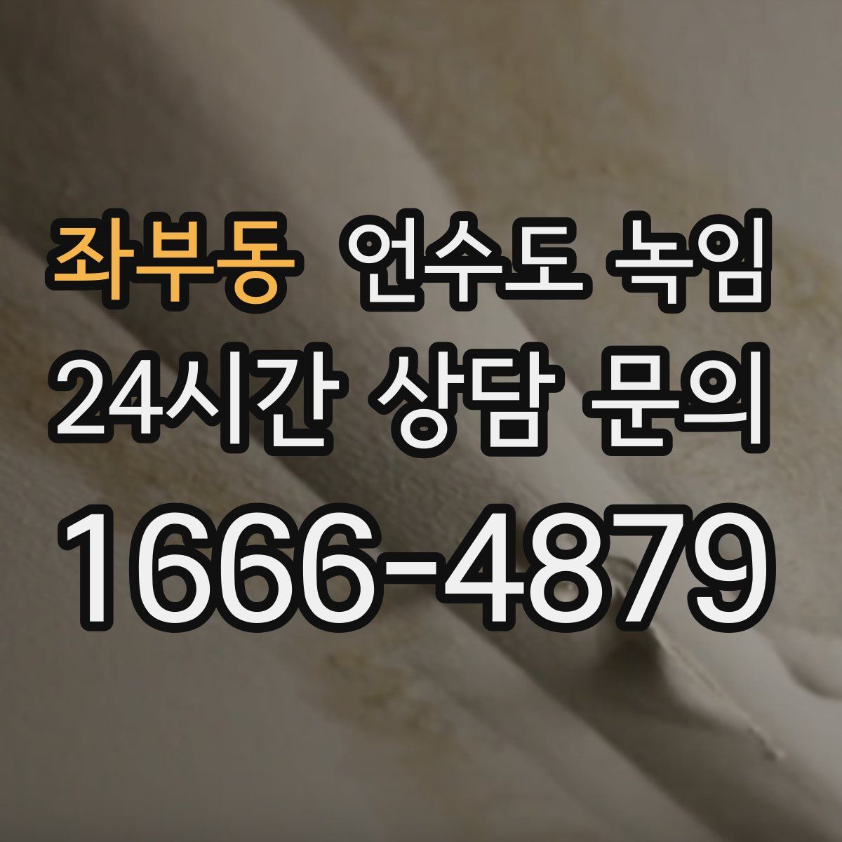 좌부동 언수도 녹임