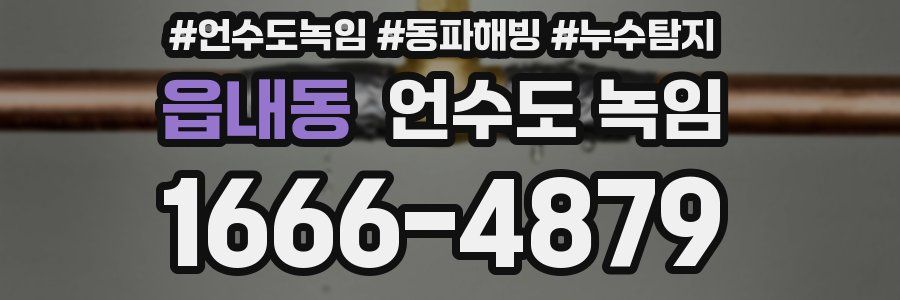 읍내동 언수도 녹임