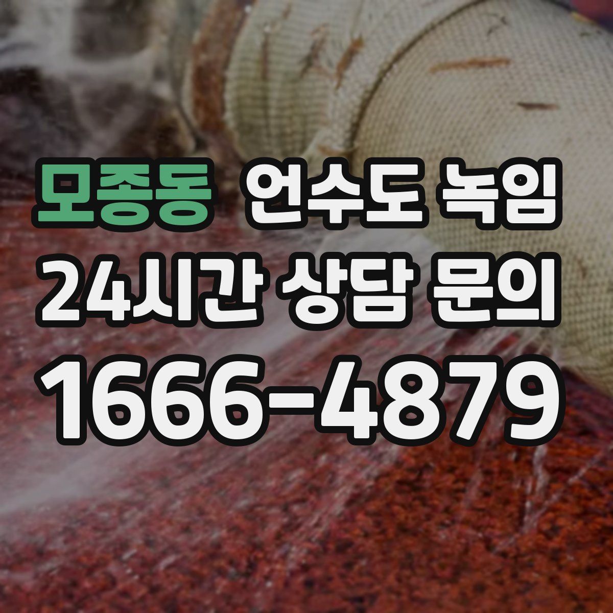 모종동 언수도 녹임