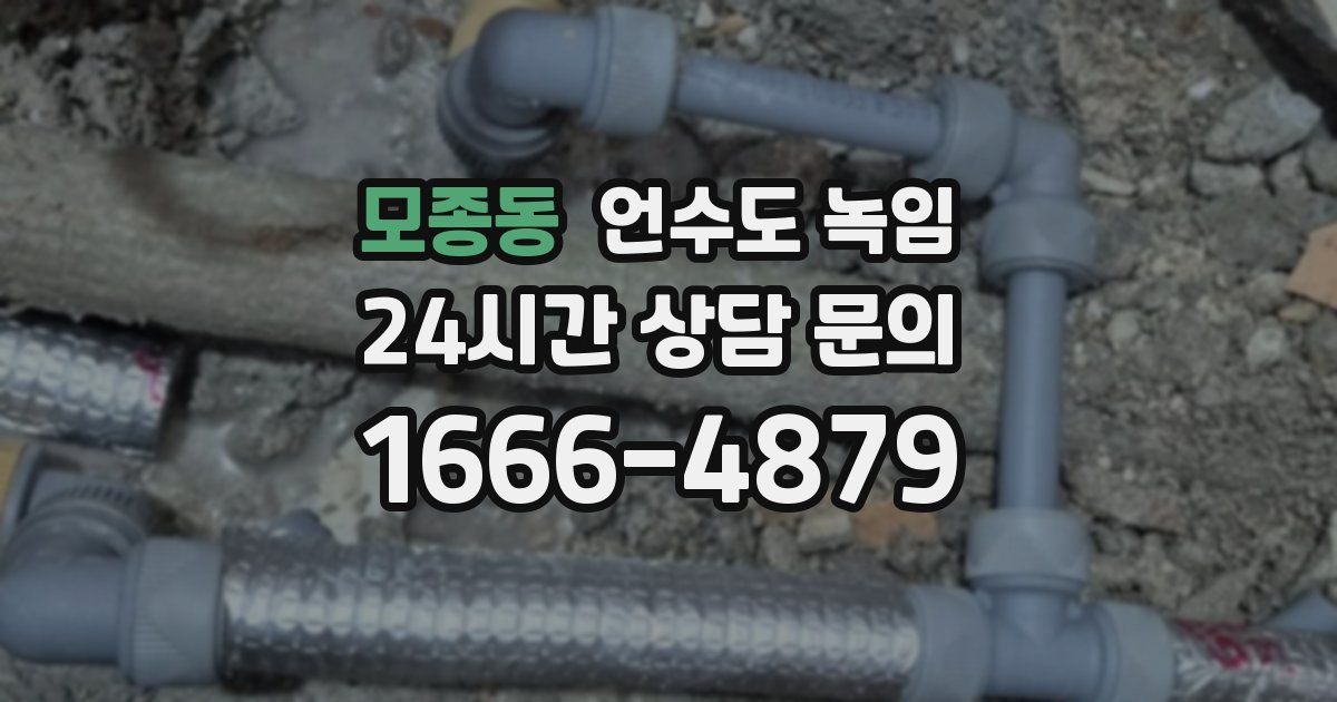 모종동 언수도 녹임