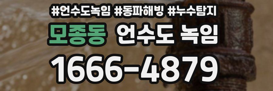 모종동 언수도 녹임