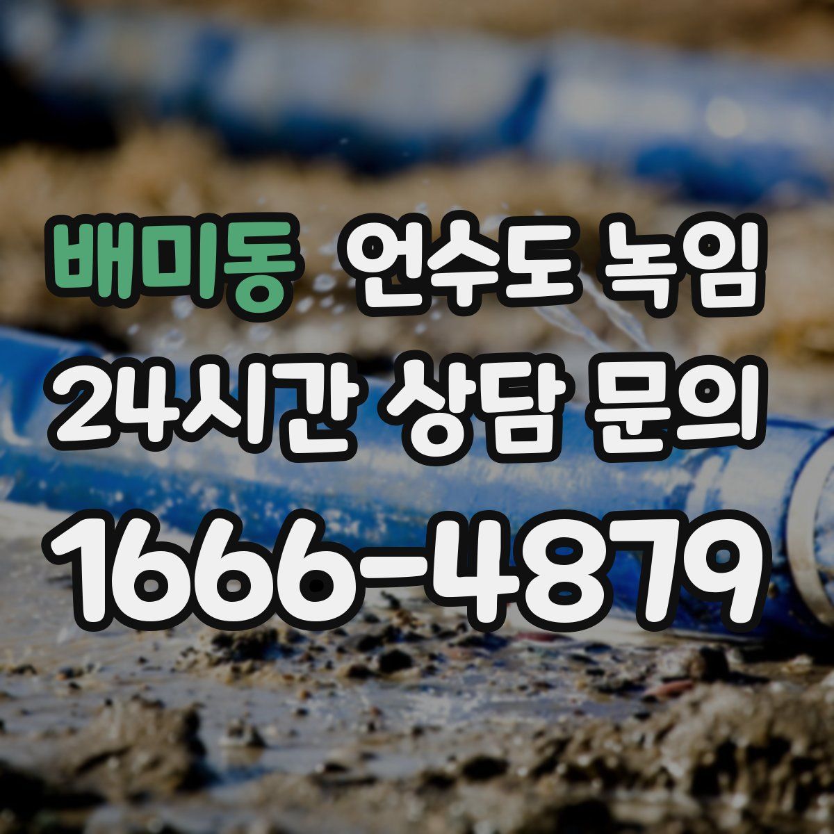 배미동 언수도 녹임