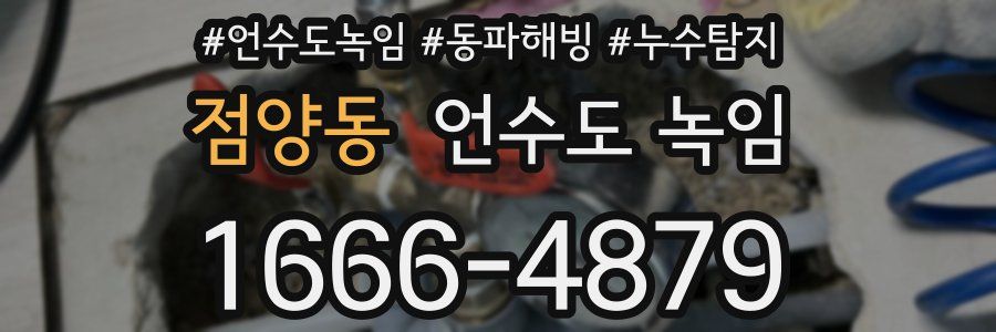 점양동 언수도 녹임